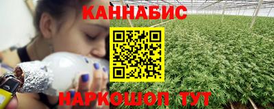 хмурый Новозыбков